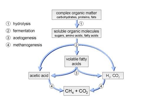 Anaerob Diagram