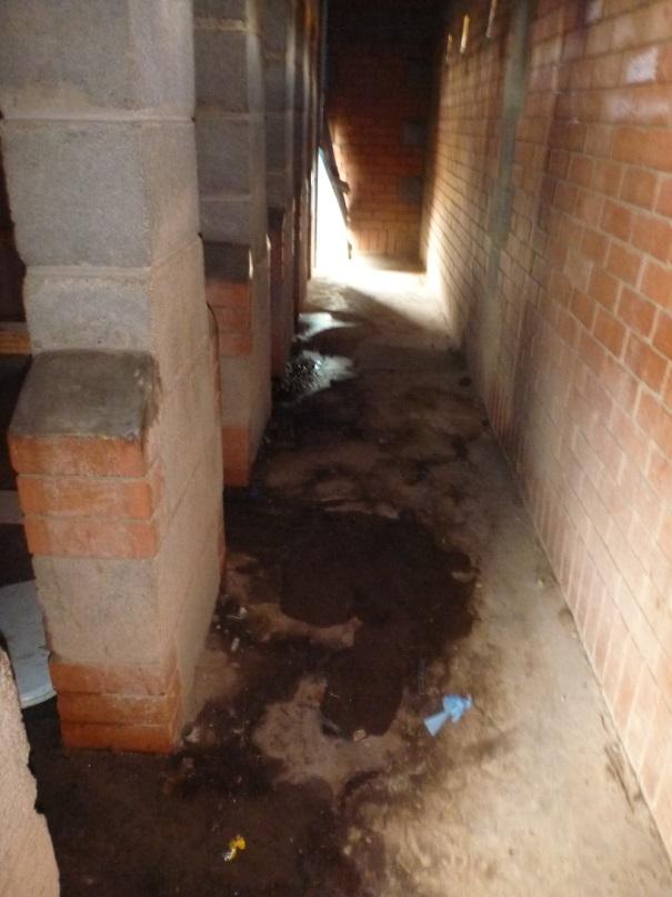 toilet_4