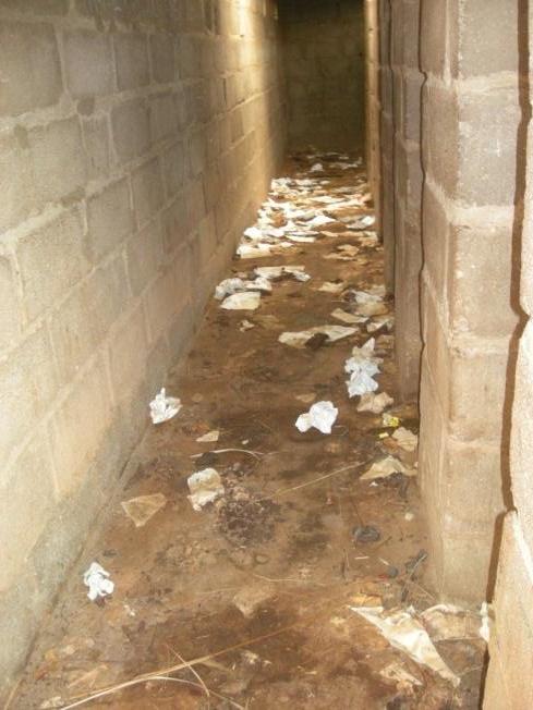 toilet_8
